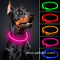 Water Resistant Glowing Dog Collar Pet Necklace Loop